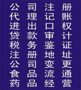公司注冊(cè)與稅務(wù)咨詢服務(wù)全面解析 流程、選擇與價(jià)格指南